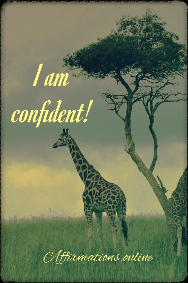 Positive affirmation from Affirmations.online - I am confident!