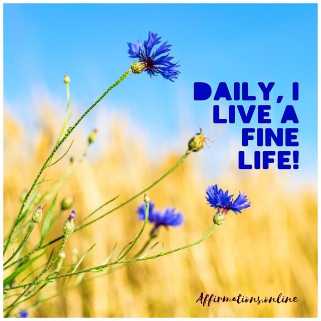 Daily-I-live-a-fine-life-positive-affirmation.jpg&nocache=1