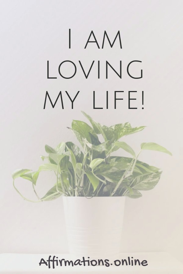 I am loving my life! Positive affirmation from Affirmations.online - I am loving my life!