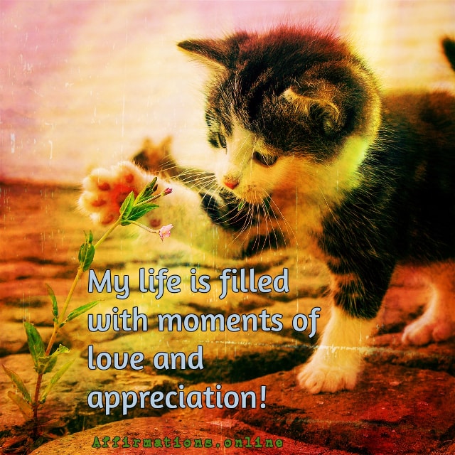 My life is filled with moments of love and appreciation! Positive affirmation from Affirmations.online - My life is filled with moments of love and appreciation!